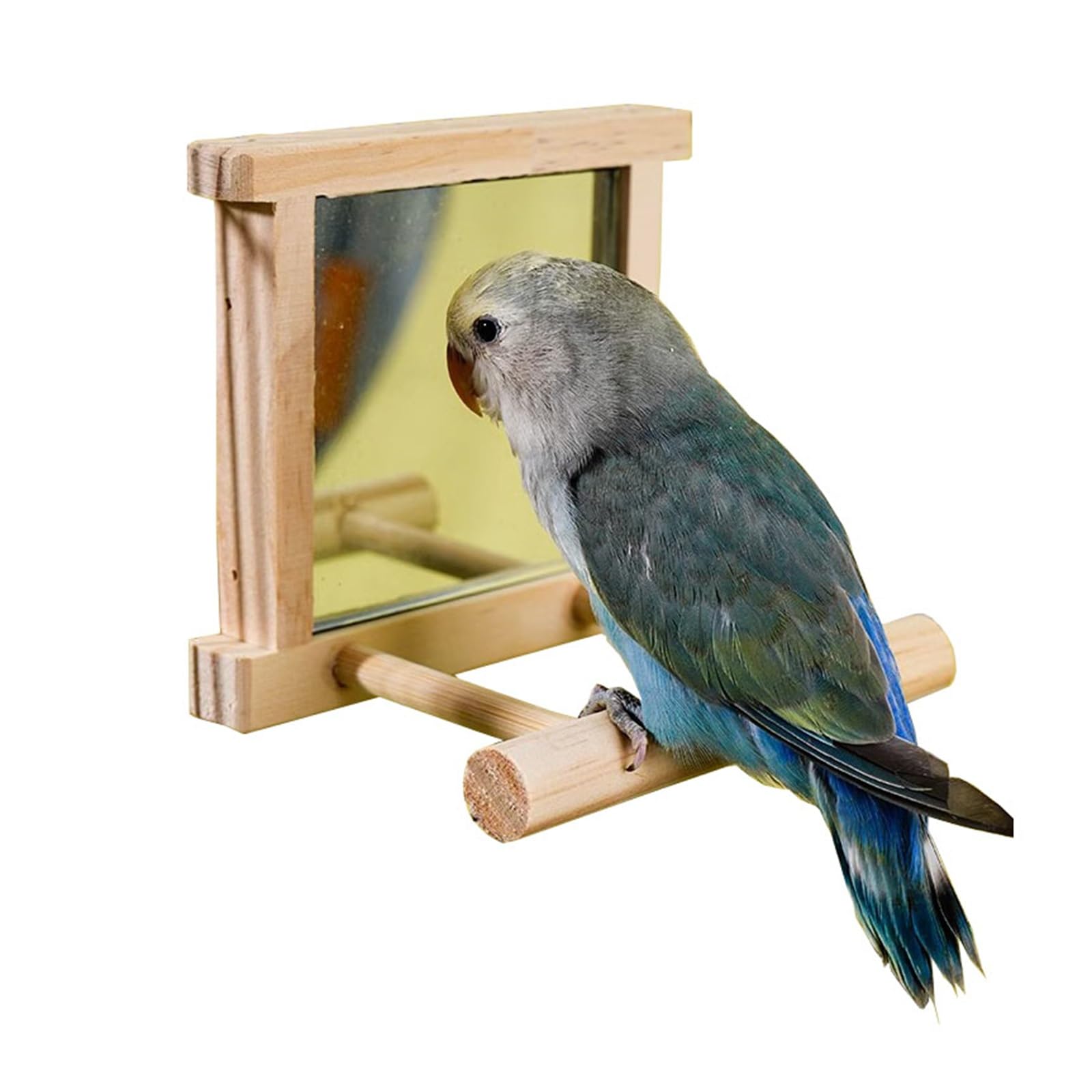 Amazon.co.jp: インコ鏡 鳥ミラーおもちゃ鳥ミラー鳥スタンドミラー